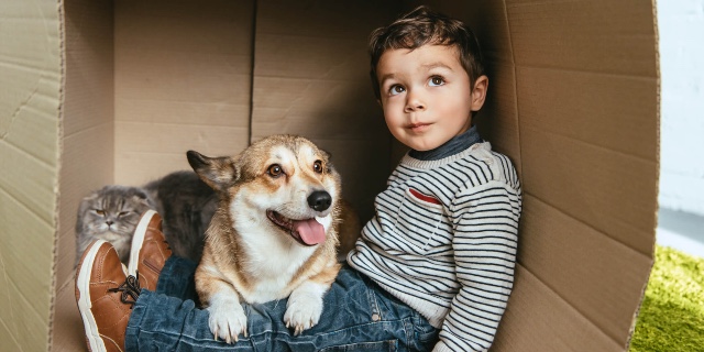 Haustierversicherung