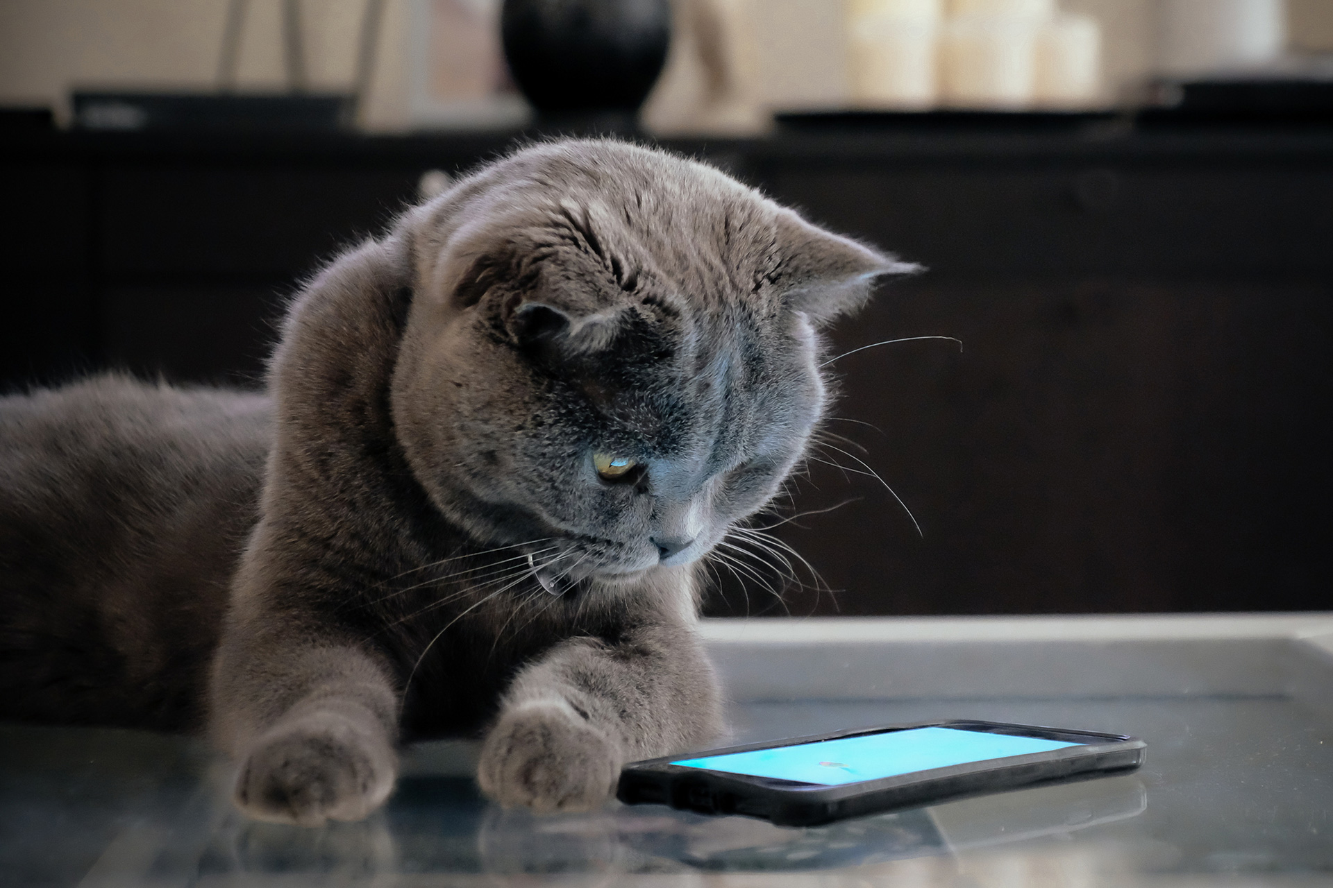 Allianz Ratgeber für Privatkunden