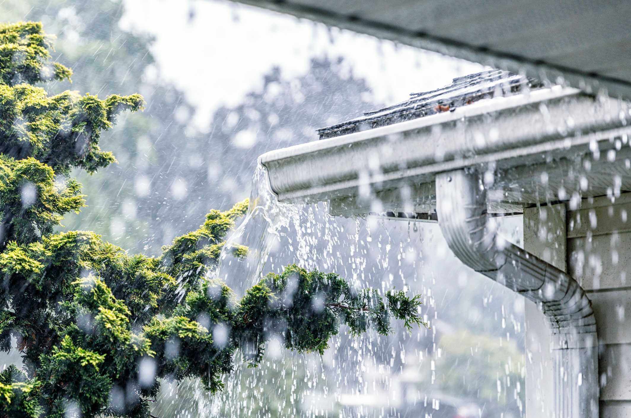 Guide: Danni da acqua ed eventi naturali